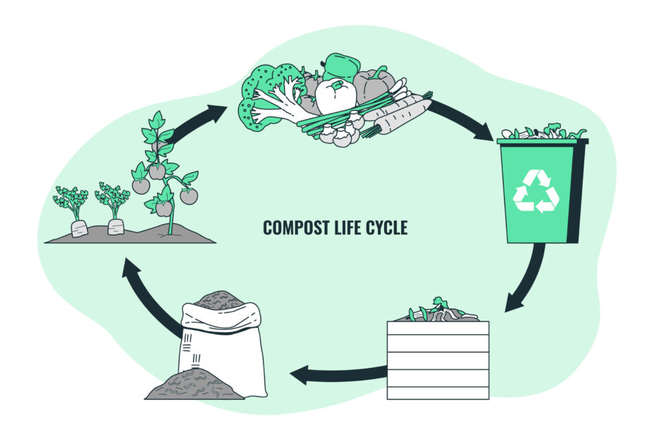 Ciclo de compostagem