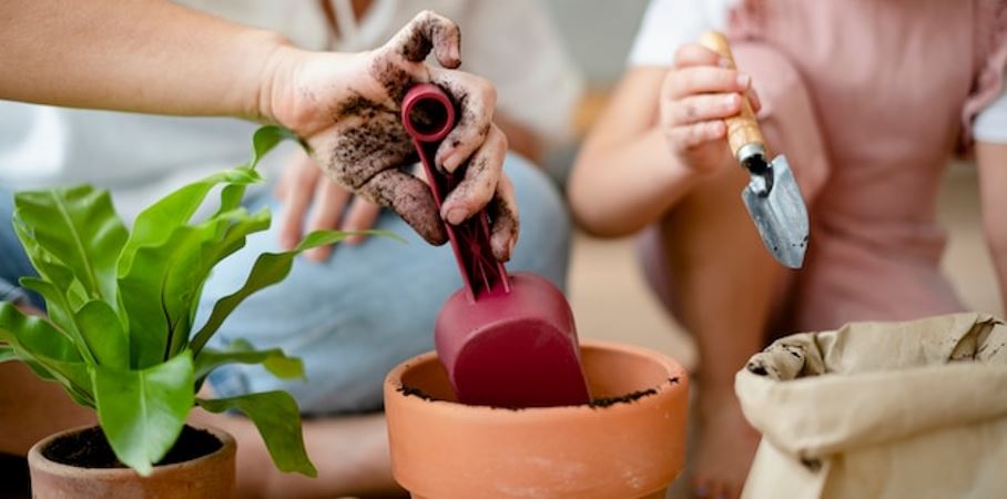 Pessoas fazendo jardinagem.