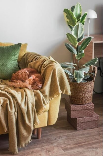 Ideias para um espaço aconchegante e inspirador