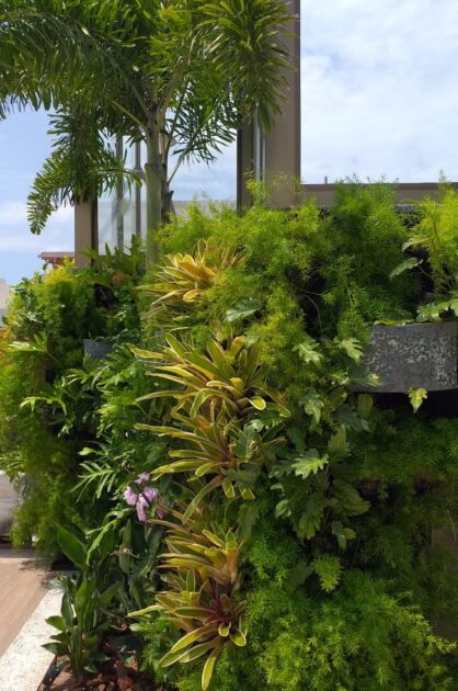 Orquídeas e bromélias em parede verde. Foto, projeto e execução: HortoLab