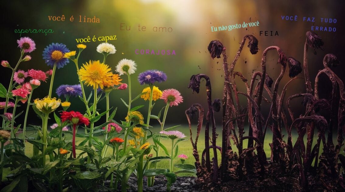 O efeito das palavras e o poder das intenções na natureza e nos seres humanos