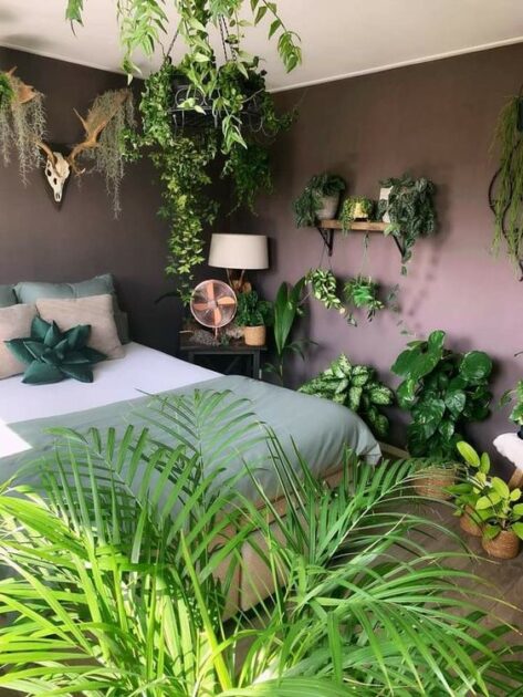 Decoração com plantas é uma tendência que vem crescendo cada vez mais