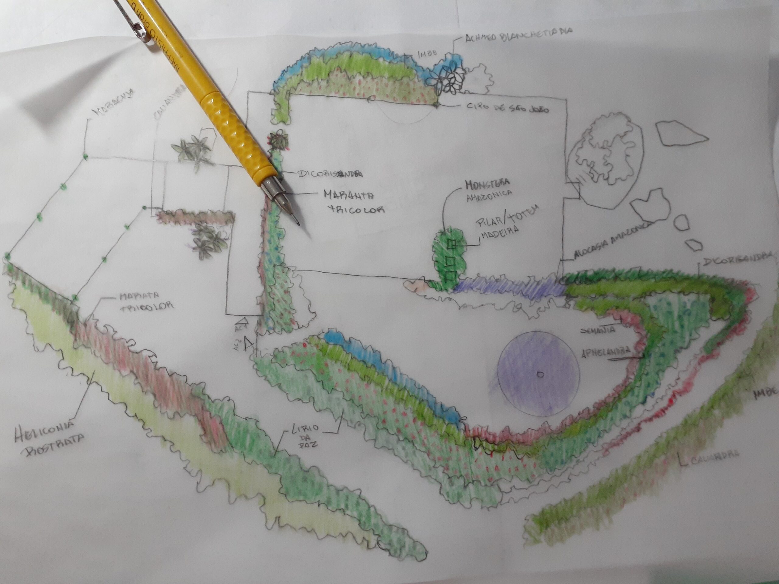 Projeto de Paisagismo