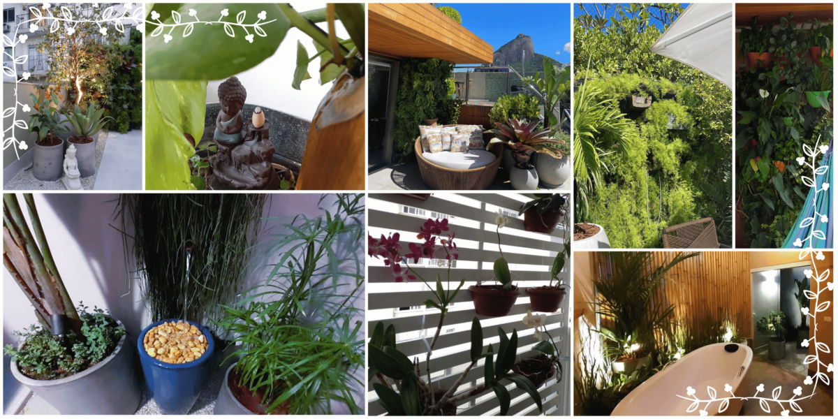 Jardim vertical, jardim de inverno, jardim sustentável: tendências de jardim para a primavera de 2024