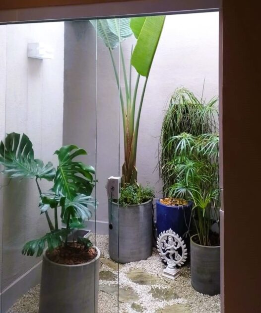 Jardim de inverno: conforto e verde em ambientes fechados