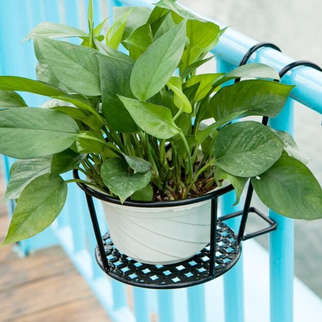 suporte de plantas de metal