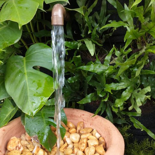 176990591_361877865215962_816089002689795486_n